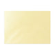 Champagne Lustre Envelope 125x175mm (B6)