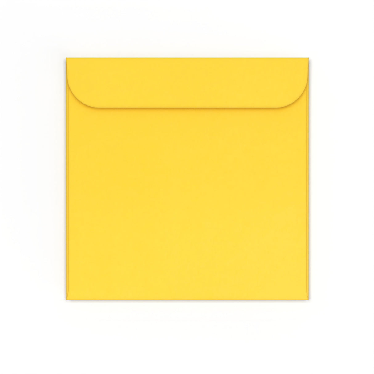 CD-Papierhüllen ohne Fenster